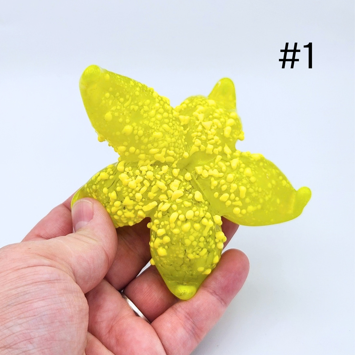 Hand Sculpted Glass Starfish by Tim “Lefty” Jaquet